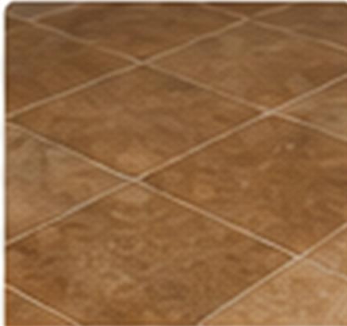 Professionally cleaned tile and grout floor