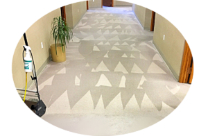 carpet cleaning wny