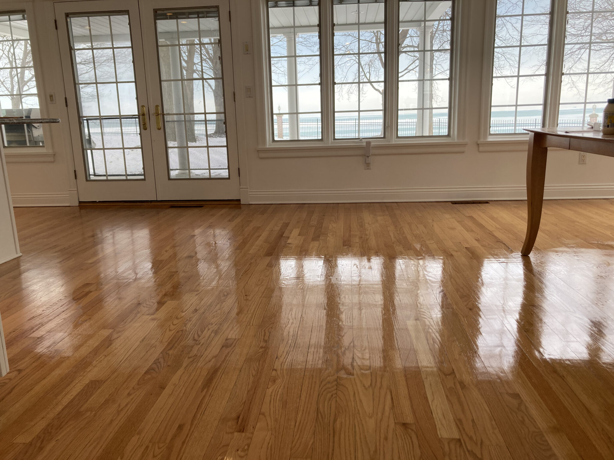 The Carpet Doctor The Carpet Doctor